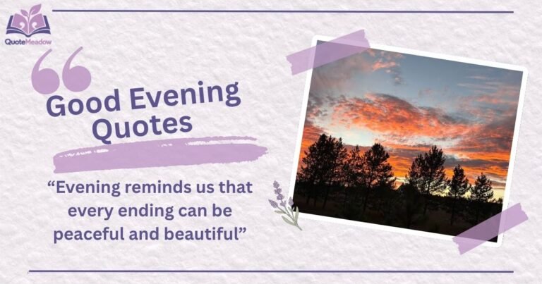 Good Evening Quotes in English